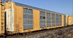 NS G117 is new to rrpa.